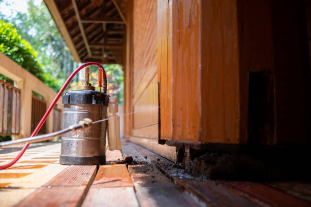 Reliable Southern Shops, SC Pest Control Solutions